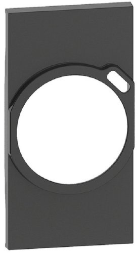 Лицевая панель Legrand BTicino Living Now для 1-м. 2 мод. розетки 220В+USB черный картинка